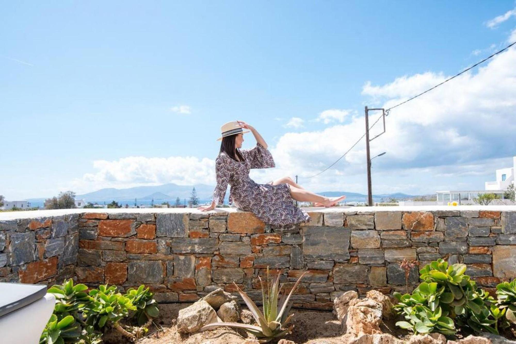 Naxos Agia Anna Sunset View Olive House Appartement Buitenkant foto