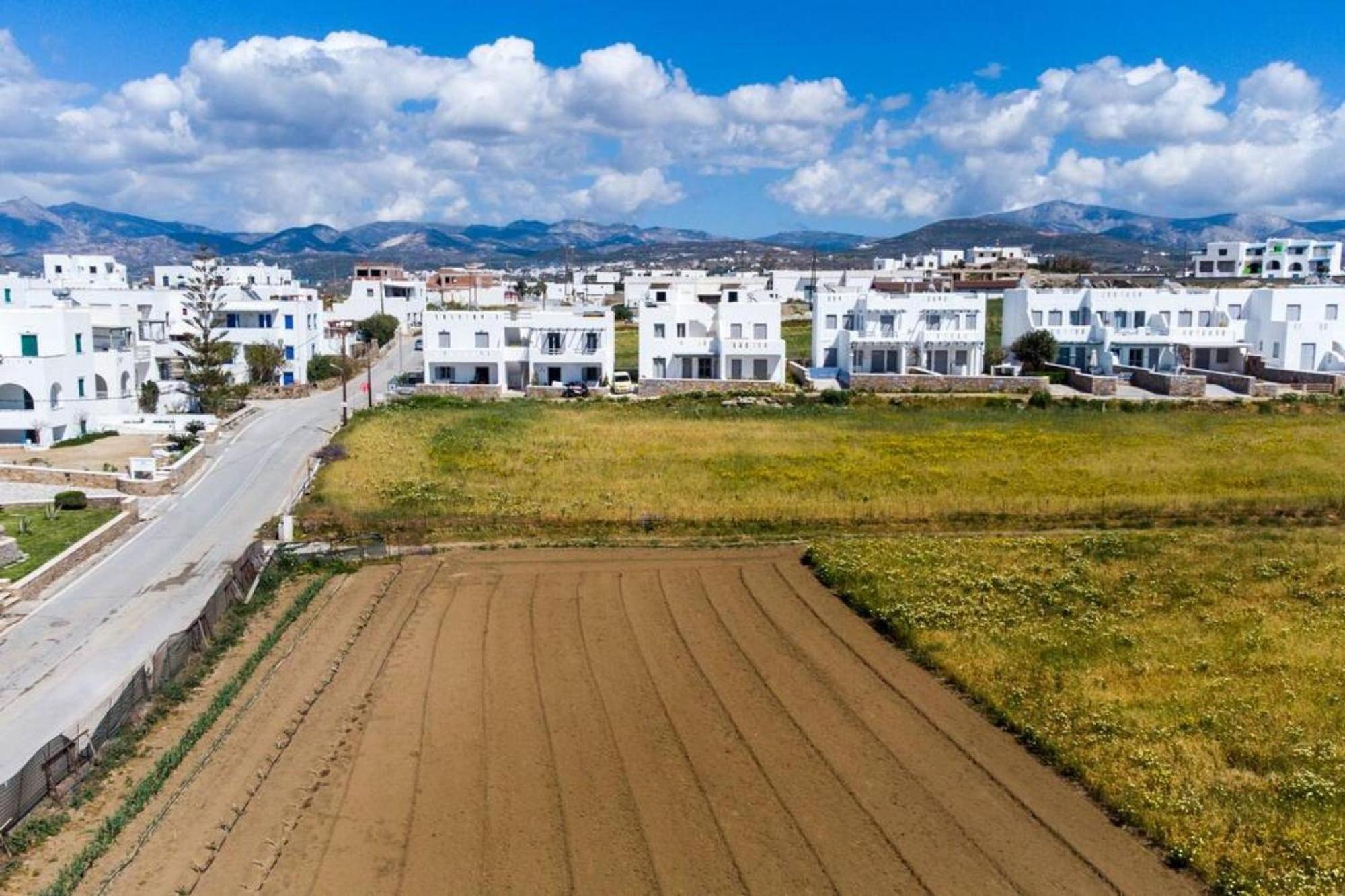 Naxos Agia Anna Sunset View Olive House Appartement Buitenkant foto